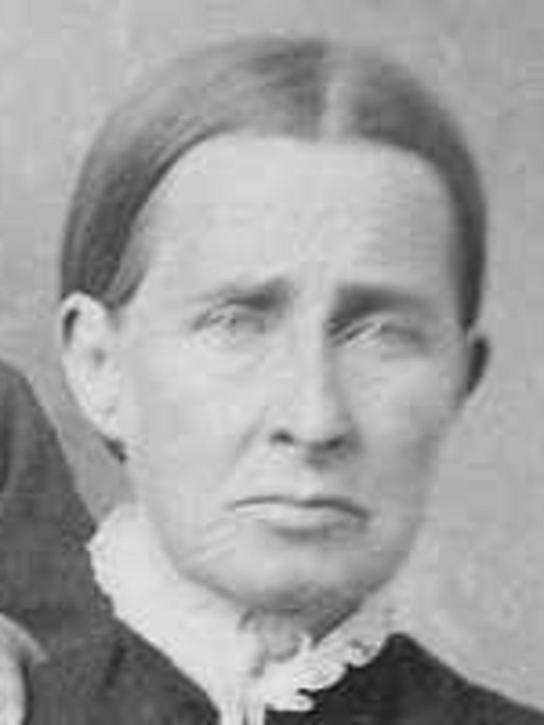 Emily Knight (1837 - 1912) Profile